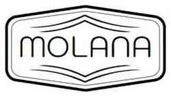 Заявка на торговельну марку № m202308579: molana