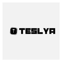 Заявка на торговельну марку № m202502694: teslya