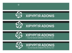 Заявка на торговельну марку № m202605169: коли важливий результат; хірургія adonis