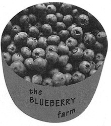 Свідоцтво торговельну марку № 87490 (заявка m200612175): the blueberry farm