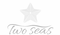Заявка на торговельну марку № m202114578: two seas