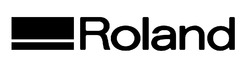 Свідоцтво торговельну марку № 340625 (заявка m202128851): roland