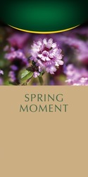 Свідоцтво торговельну марку № 319150 (заявка m202015327): spring moment