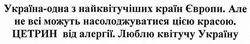 Заявка на торговельну марку № m201712798: цетрин від алергії; люблю квітучу україну