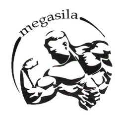 Заявка на торговельну марку № m202208569: megasila