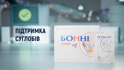 Заявка на торговельну марку № m202419016: підтримка суглобів; schonen; bonny chondro; бонні хондро