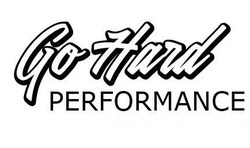 Свідоцтво торговельну марку № 324557 (заявка m202024768): go hard performance