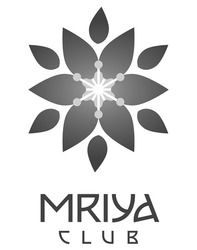 Свідоцтво торговельну марку № 344024 (заявка m202206610): mriya club