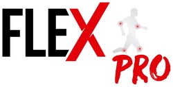 Заявка на торговельну марку № m202205482: flex pro