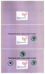 Заявка на торговельну марку № m202004776: neocardil; природний захист серця, мозку та судин