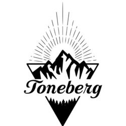 Заявка на торговельну марку № m202515346: toneberg