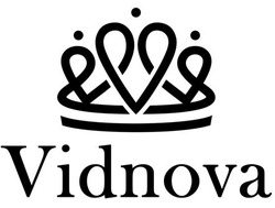 Заявка на торговельну марку № m202214288: vidnova