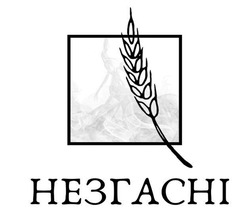 Заявка на торговельну марку № m202307558: незгасні