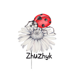 Заявка на торговельну марку № m202121441: zhuzhyk; zhu zhyk