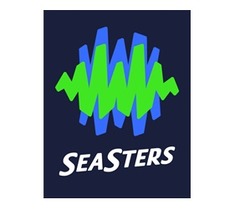 Заявка на торговельну марку № m202312329: seasters