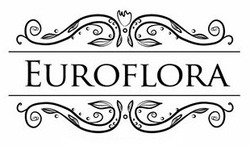 Свідоцтво торговельну марку № 331116 (заявка m202110183): euroflora