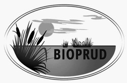 Заявка на торговельну марку № m202311847: bioprud