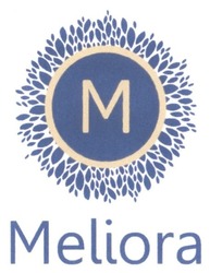 Заявка на торговельну марку № m201619985: meliora; м
