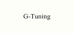 Свідоцтво торговельну марку № 320769 (заявка m202020356): g-tuning