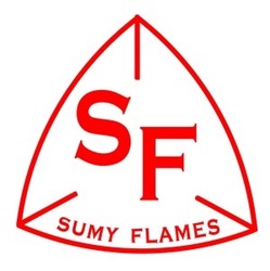 Свідоцтво торговельну марку № 254903 (заявка m201816430): sf; sumy flames