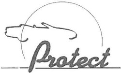 Свідоцтво торговельну марку № 89627 (заявка m200702098): protect