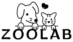 Заявка на торговельну марку № m202609026