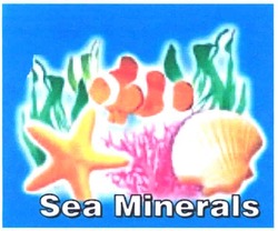 Свідоцтво торговельну марку № 68353 (заявка m200503874): sea minerals