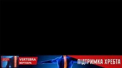 Заявка на торговельну марку № m202418812: підтримка хребта; schonen; vertebra вертебра