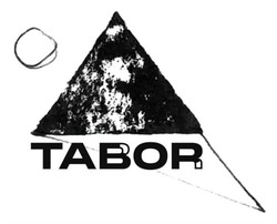 Заявка на торговельну марку № m202513133: tabor