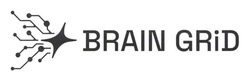 Заявка на торговельну марку № m202602565: brain grid