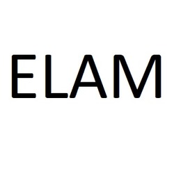 Заявка на торговельну марку № m202414807: elam