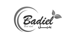 Заявка на торговельну марку № m202513700: best deal; badiel