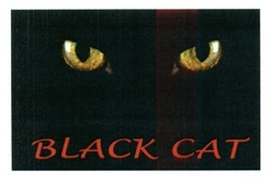 Свідоцтво торговельну марку № 250969 (заявка m201626635): black cat