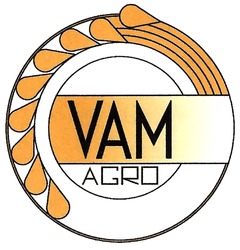Свідоцтво торговельну марку № 288426 (заявка m201829452): vam agro