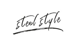 Свідоцтво торговельну марку № 325580 (заявка m202101567): steel style