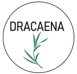 Заявка на торговельну марку № m202421959: dracaena