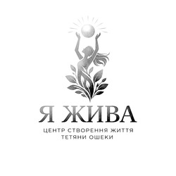 Заявка на торговельну марку № m202606437