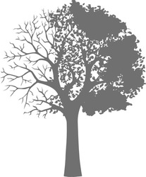 Заявка на торговельну марку № m202513197