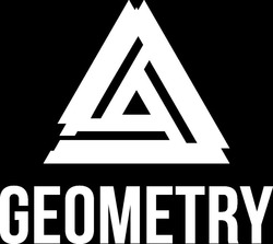 Заявка на торговельну марку № m202023914: geometry