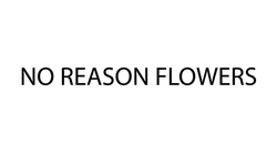 Заявка на торговельну марку № m202119467: no reason flowers