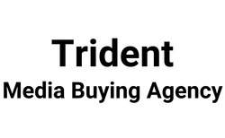 Заявка на торговельну марку № m202515991: media buying agency; trident