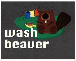Свідоцтво торговельну марку № 316811 (заявка m201925802): wash beaver