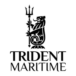 Свідоцтво торговельну марку № 347425 (заявка m202211708): trident maritime