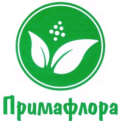 Заявка на торговельну марку № m202606120