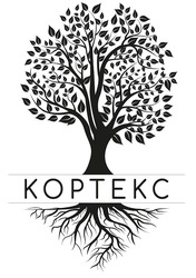 Заявка на торговельну марку № m202514291: кортекс; koptekc