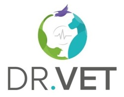 Заявка на торговельну марку № m202402856: dr. vet; dr.vet
