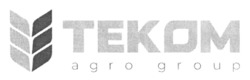 Заявка на торговельну марку № m202515107: теком; tekom agro group