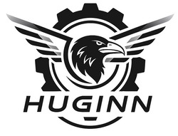 Заявка на торговельну марку № m202518508: huginn