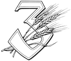 Свідоцтво торговельну марку № 237481 (заявка m201610468): 3