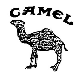 Свідоцтво торговельну марку № 6021 (заявка 118837/SU): camel